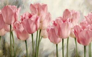 Soft pink tulips wallpaper thumb