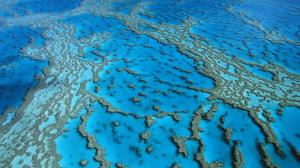 Coral formations in Hardy Reef wallpaper thumb