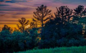Canada, Ontario Province, meadow, trees, sunset wallpaper thumb