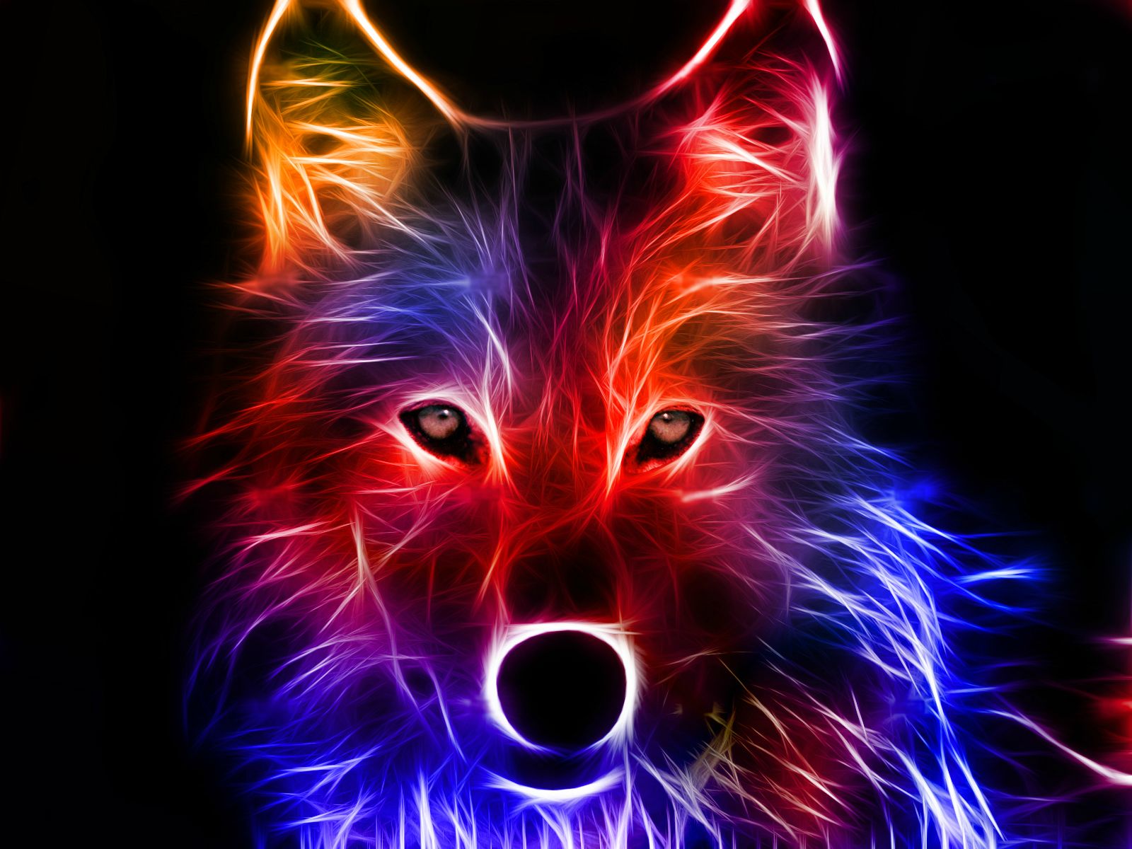 3D Colorful Glass Dog wallpaper | 3d and abstract | Wallpaper Better