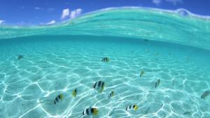 Hawaii Sea Water  Best Desktop Images wallpaper thumb