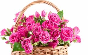 Pink roses in a basket wallpaper thumb