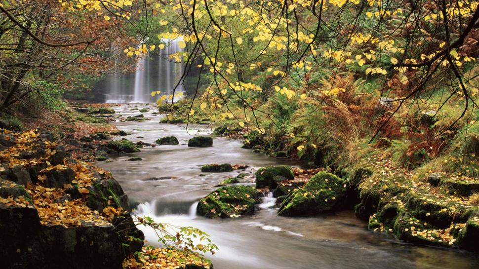 Sgwd-yr-eira Waterfalls In Wales wallpaper,forest HD wallpaper,stream HD wallpaper,waterfalls HD wallpaper,rocks HD wallpaper,nature & landscapes HD wallpaper,1920x1080 wallpaper