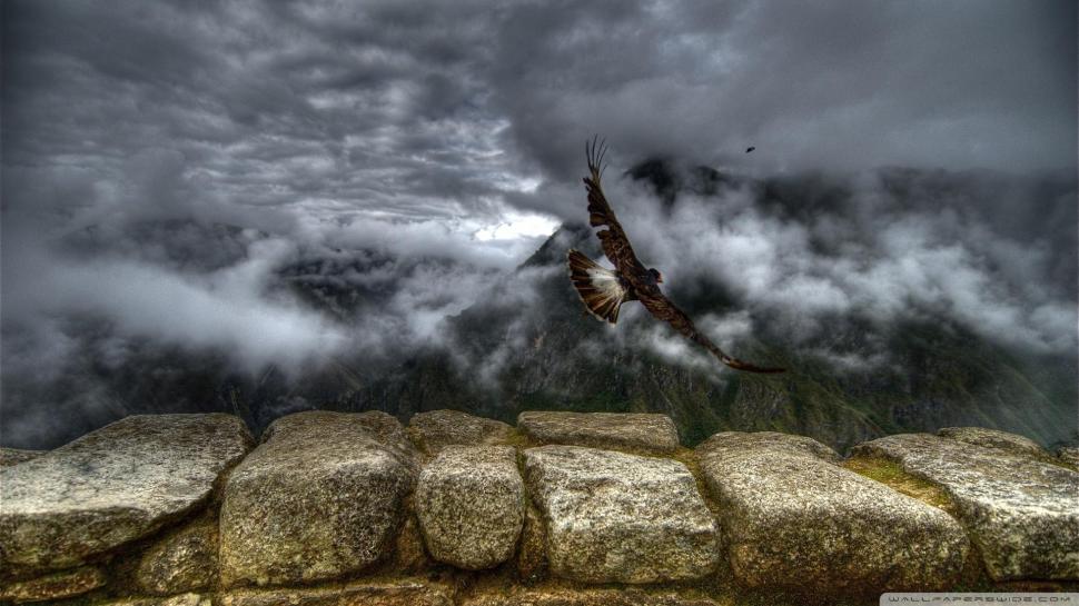 Eagle Flying Into The Clouds wallpaper,bird HD wallpaper,stone ledge HD wallpaper,mountains HD wallpaper,clouds HD wallpaper,animals HD wallpaper,1920x1080 wallpaper