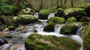 River, Nature, Landscape, Water, Waterfall, Long Exposure, Rock, Moss, Trees wallpaper thumb