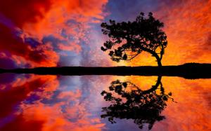 Tree Clouds Sunset Reflection Silhouette HD wallpaper thumb
