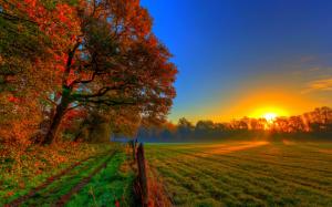 Autumn sunset nature, trees, road, meadow, fields wallpaper thumb