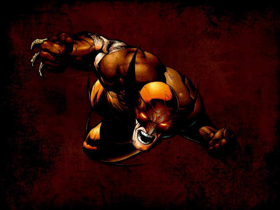 Wolverine X-Men HD wallpaper,cartoon/comic wallpaper,x wallpaper,men wallpaper,wolverine wallpaper,1024x768 wallpaper
