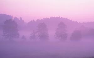 Pink Early Morning Fog wallpaper thumb
