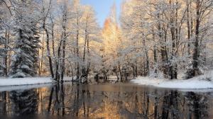 The River In Winter Wood wallpaper thumb