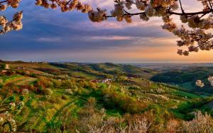 Italy, Lombardy, Collio at spring, valley, dusk, flowers, trees wallpaper thumb
