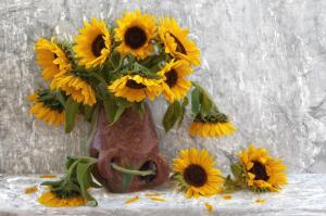 *** Sunflowers - still life *** wallpaper thumb