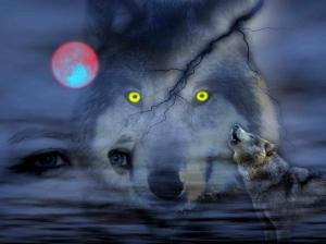 Night Of Wolves wallpaper thumb
