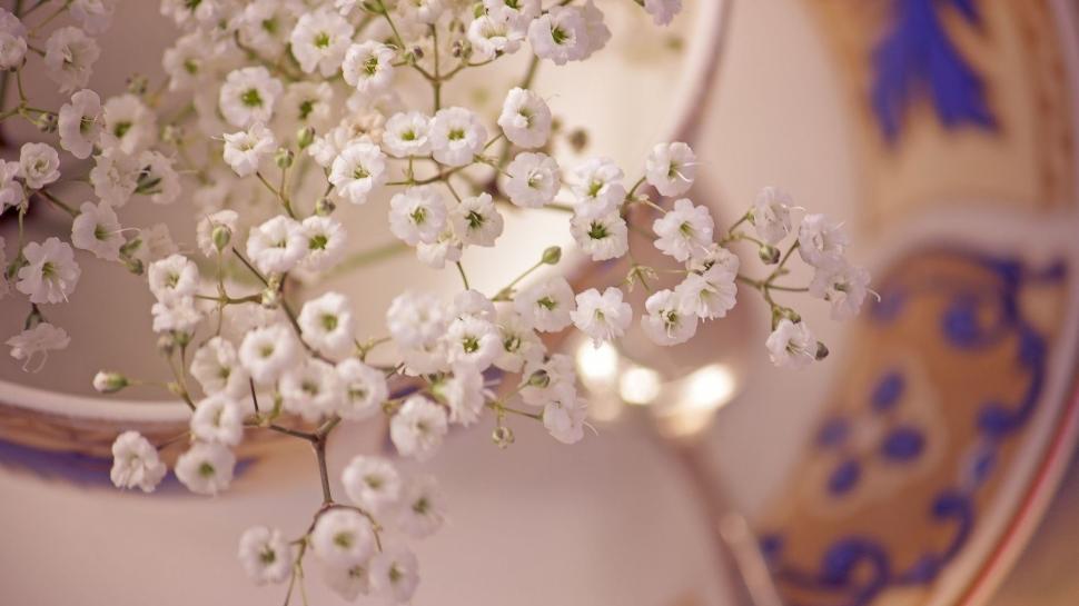 Small White Blossom Flowers wallpaper,Flowers HD wallpaper,1920x1080 wallpaper