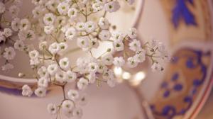 Small White Blossom Flowers wallpaper thumb