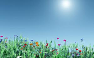 Spring Time Flowers wallpaper thumb