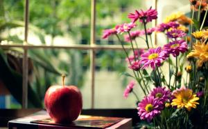 Still life, red apple, pink yellow flowers, window, book wallpaper thumb