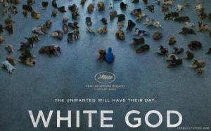 White God 2014 Movie wallpaper thumb