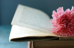 book, flower, bookmark, page wallpaper thumb