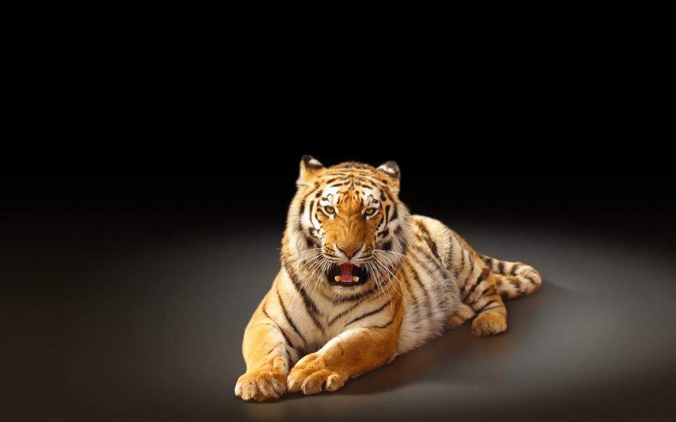 Angry Tiger Poster wallpaper,tiger HD wallpaper,2880x1800 wallpaper
