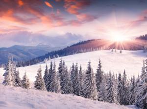 Dawn, winter, snow, sun, mountains, trees wallpaper thumb