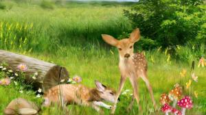Fawns In Forest Field wallpaper thumb