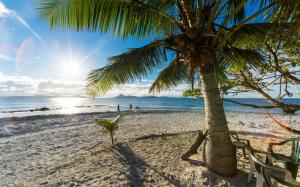 Nature, Landscape, Palm Trees, Beach, Sand, Sea, Sunlight, Summer, Tropical, Island wallpaper thumb
