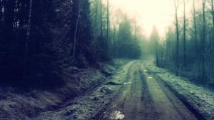 Nature, Road, Trees, Forest wallpaper thumb