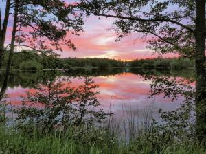 Morning nature scenery, lake, water reflection, trees, Nacka, Sweden wallpaper thumb