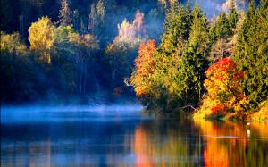 Latvian autumn forest river mist in the morning wallpaper thumb