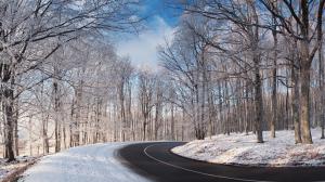Snowy, Road, Trees, Winter, Nature wallpaper thumb