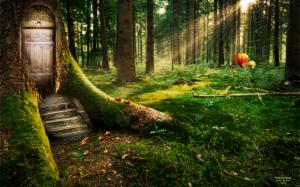 Enchanted Forest HD wallpaper thumb