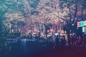 City, Japan, Lights, Street, Street Light, Filter, Cars, Cherry Blossom, People wallpaper thumb
