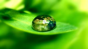 Green Earth World Leaf Macro Water Water Drop Bead HD wallpaper thumb