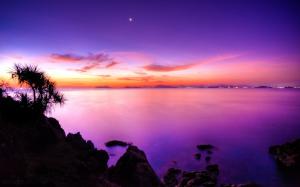 The purple sunset of the coast wallpaper thumb