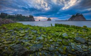USA, National Park, clouds, stones, sunset, sea, moss wallpaper thumb