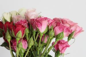 *** Bouquet of pink roses *** wallpaper thumb