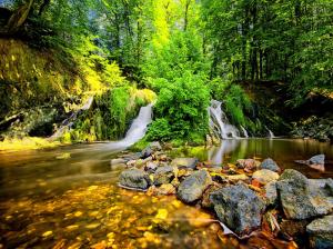 Forest Waterfall Stones wallpaper thumb