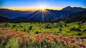 Mountains, meadow, sunrise, flowers, beautiful scenery wallpaper thumb