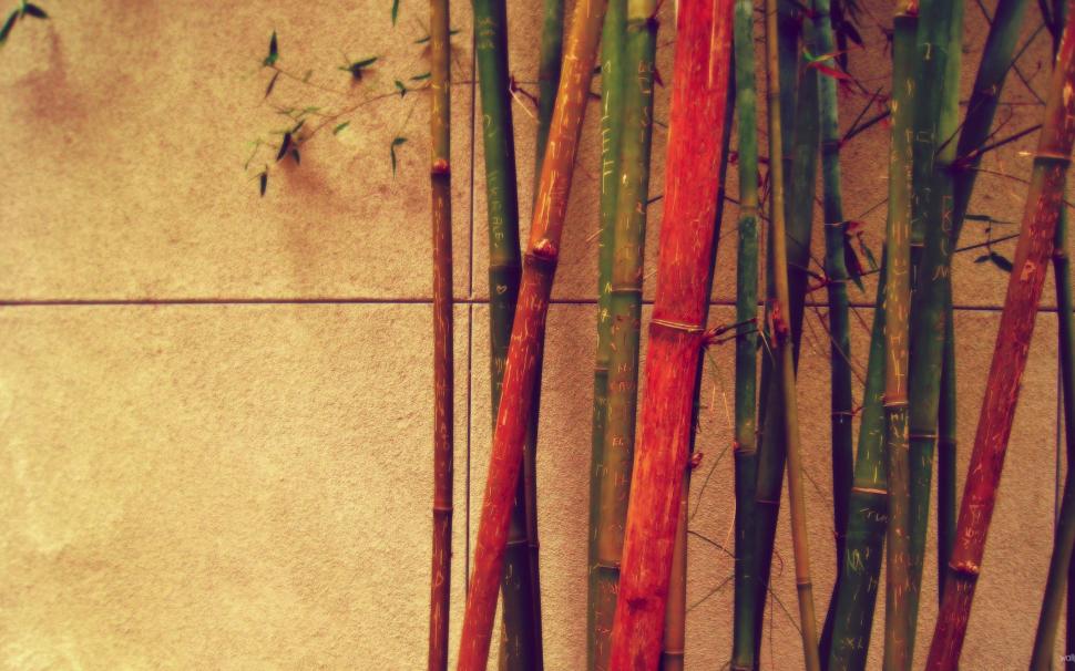 Bamboo sticks wallpaper,photography HD wallpaper,1920x1080 HD wallpaper,bamboo HD wallpaper,hd photos HD wallpaper,4K wallpapers HD wallpaper,2880x1800 wallpaper