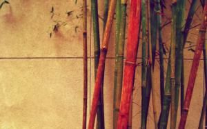 Bamboo sticks wallpaper thumb
