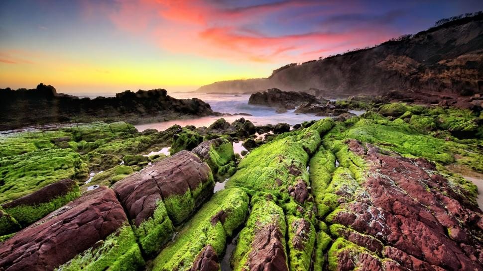 Shore Rocks Covered with Moss wallpaper,Scenery HD wallpaper,2560x1440 wallpaper