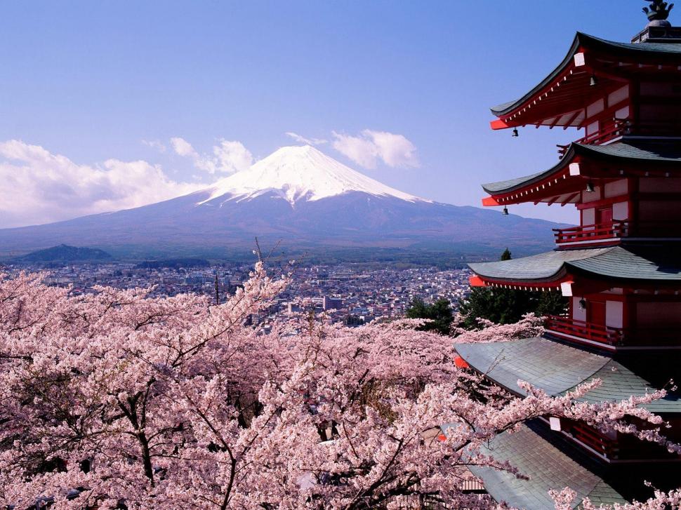 Cherry blossoms, Japan, Mount Fuji, city, architecture wallpaper,cherry blossoms wallpaper,japan wallpaper,mount fuji wallpaper,city wallpaper,1600x1200 wallpaper