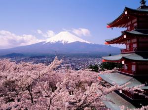 Cherry blossoms, Japan, Mount Fuji, city, architecture wallpaper thumb