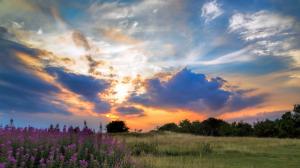 Sunset, grass, trees, flowers, clouds wallpaper thumb