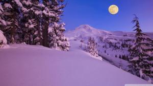Mt Hood Oregon Under A Moon wallpaper thumb