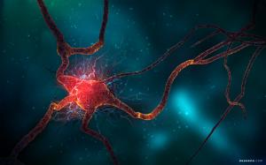 Neuron Cell HD wallpaper thumb