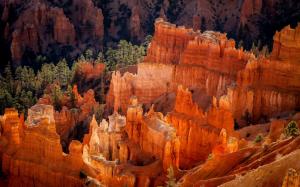 USA, Utah, National Park, Bryce Canyon, rocks, morning wallpaper thumb