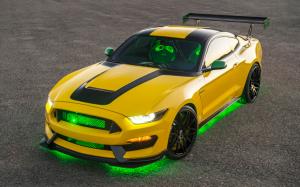 2016 EAA AirVenture Ford Shelby GT350 Mustang Ole Yeller 2Similar Car Wallpapers wallpaper thumb