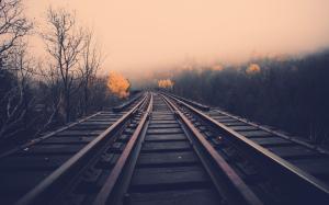 Railway, dawn, fog, trees, fall wallpaper thumb
